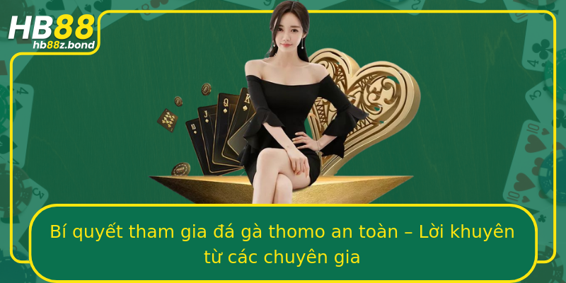 Bí quyết tham gia đá gà thomo an toàn – Lời khuyên từ các chuyên gia