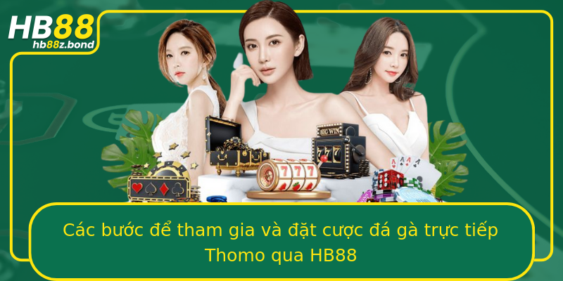 Các bước để tham gia và đặt cược đá gà trực tiếp Thomo qua HB88
