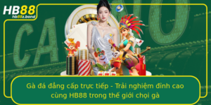 Ga A Ang Cap Truc Tiep Trai Nghiem Inh Cao Cung Hb88 Trong The Gioi Choi Ga