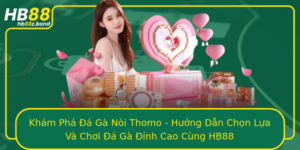 Kham Pha A Ga Noi Thomo Huong Dan Chon Lua Va Choi A Ga Inh Cao Cung Hb88