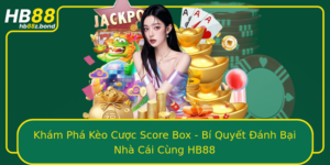 Kham Pha Keo Cuoc Score Box Bi Quyet Anh Bai Nha Cai Cung Hb88
