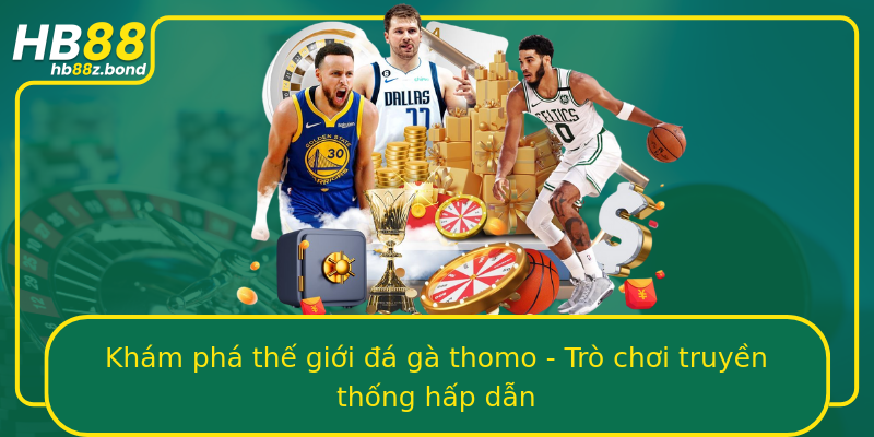 Khám phá thế giới đá gà thomo - Trò chơi truyền thống hấp dẫn