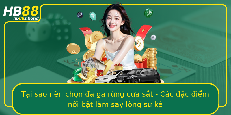Tại sao nên chọn đá gà rừng cựa sắt - Các đặc điểm nổi bật làm say lòng sư kê